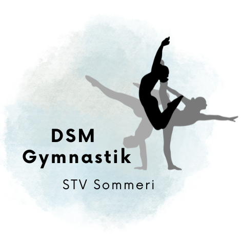 Logo Sommeri STV